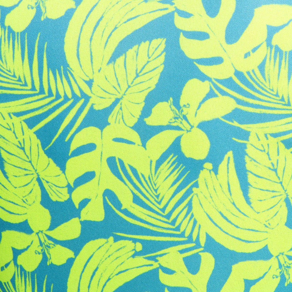 Addicted Calatheas Short