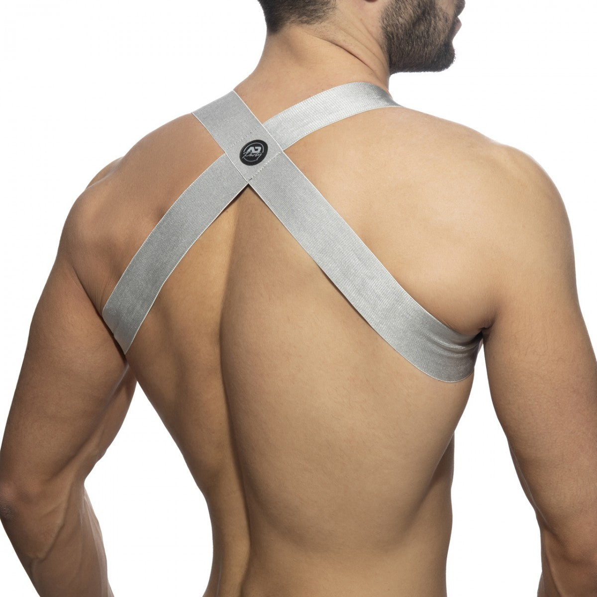 ADDICTED Silver Spider Harness - ADDICTED SA