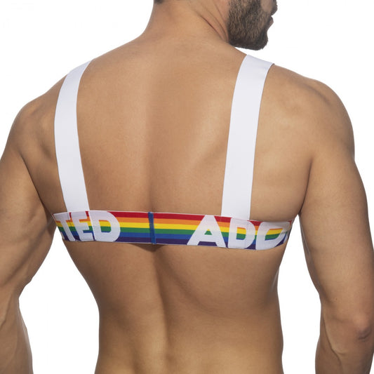 ADDICTED Rainbow Harness - ADDICTED SA