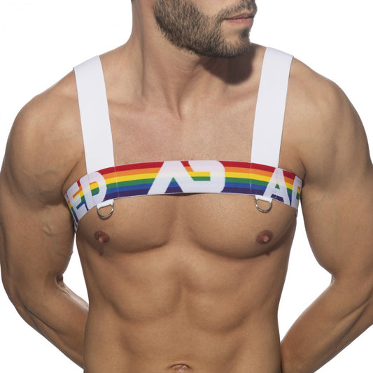 ADDICTED Rainbow Harness - ADDICTED SA