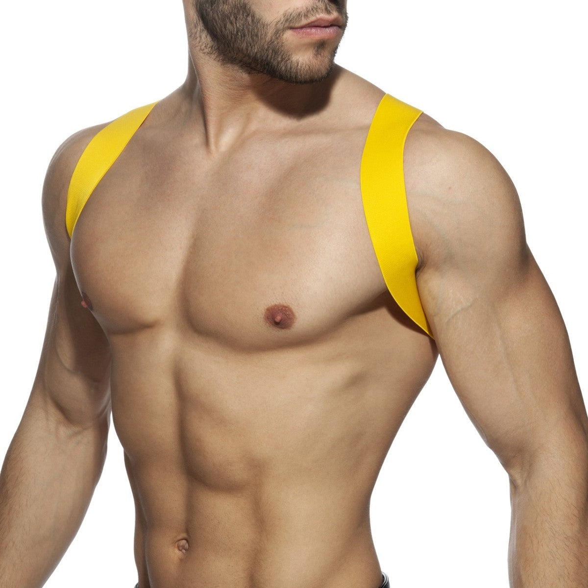 ADDICTED Spider Harness - ADDICTED SA