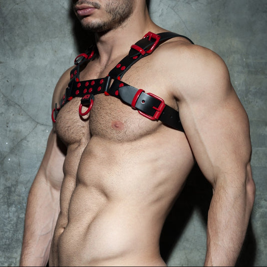 AD Fetish - Leather Colour Harness - ADDICTED SA