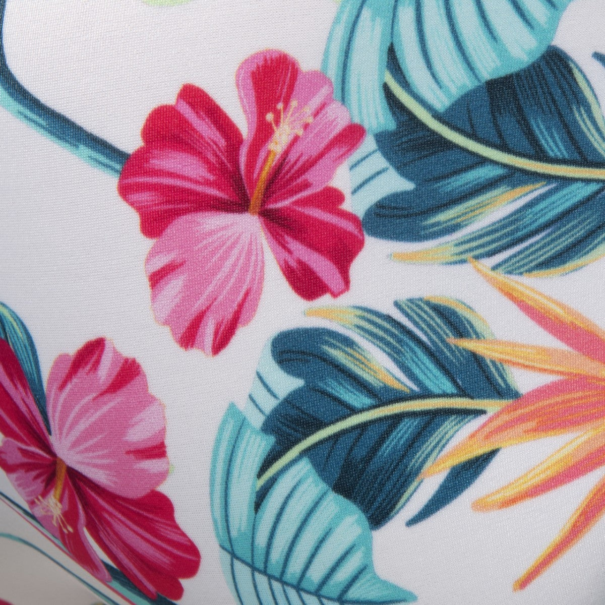 Addicted Lilys Swim Brief