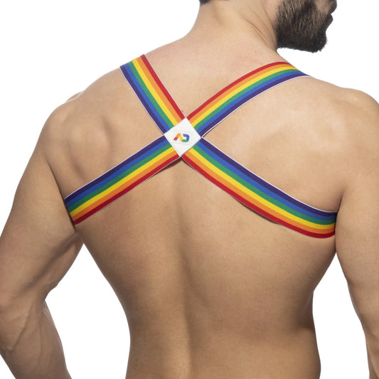 ADDICTED Rainbow Spider Harness - ADDICTED SA